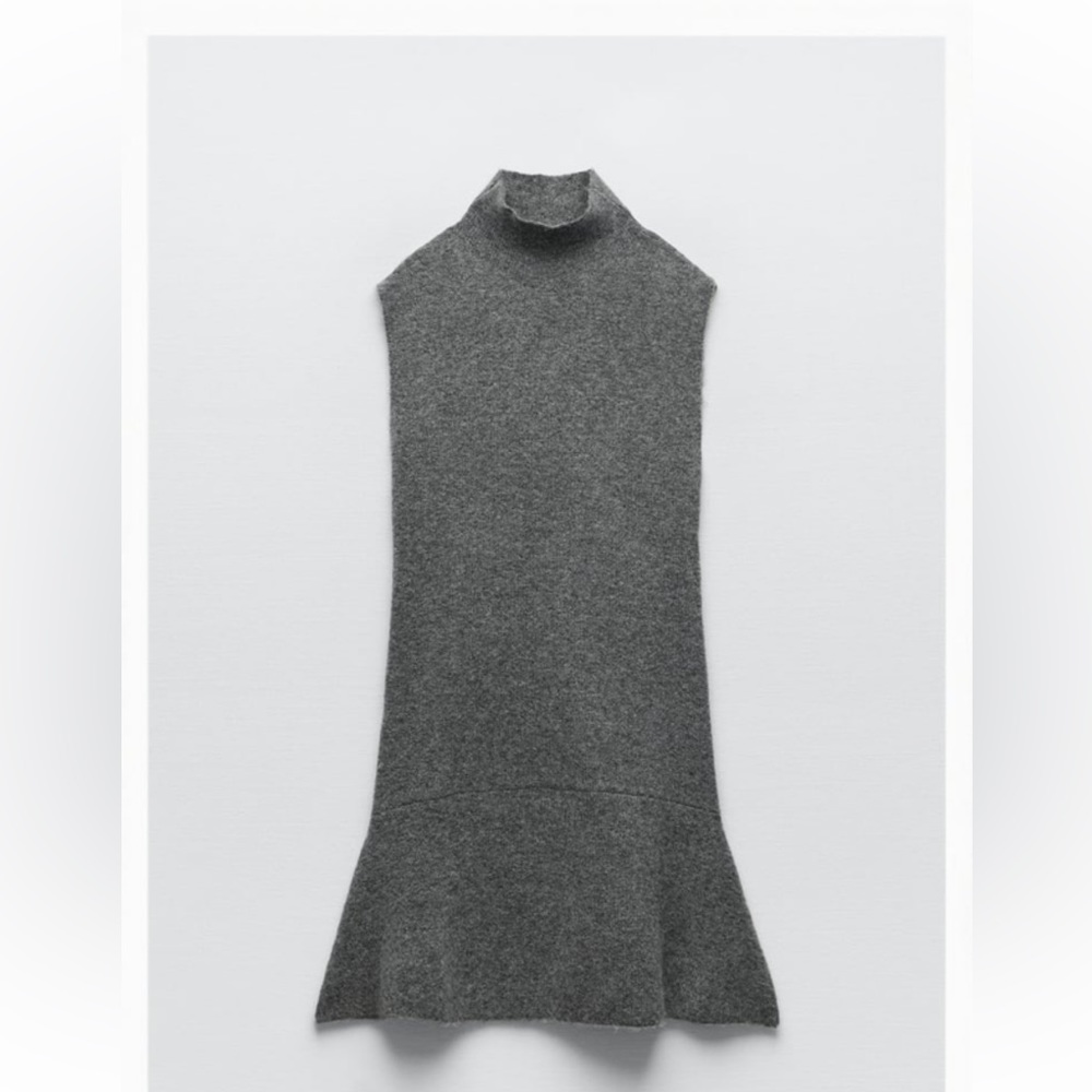 NWT Zara skater dress
